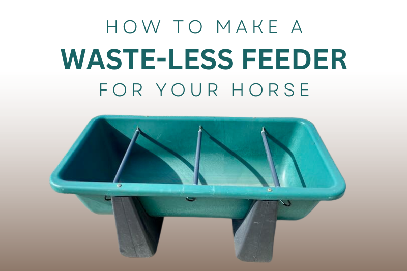 The Best Slow Feeders for Your Horse - STABLE STYLE
