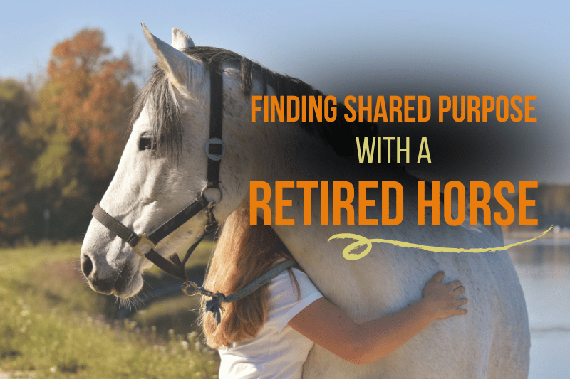 woman hugging retired horse