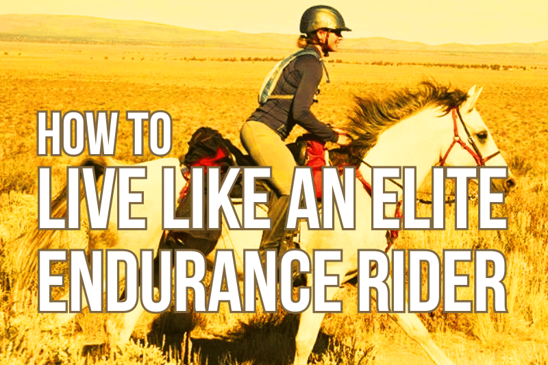 how to live like an elite endurance horse rider