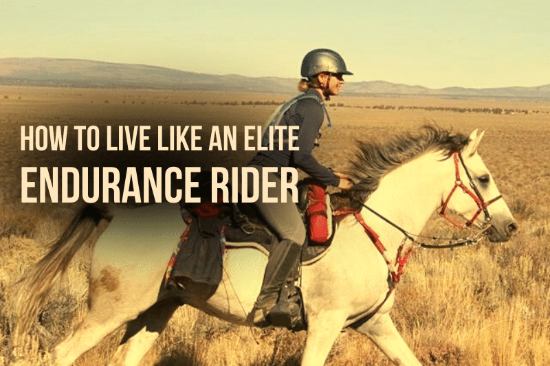 equestrian endurance riding