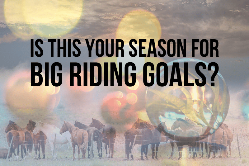 horses and marbles big riding goals