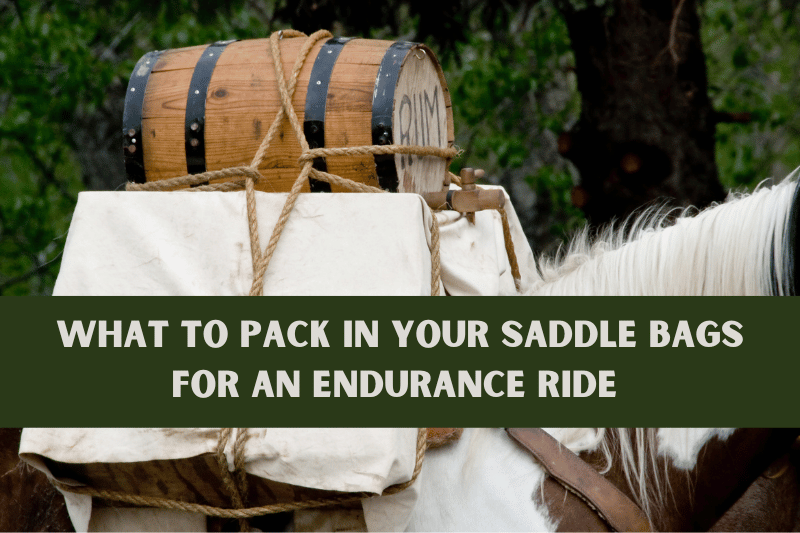 equestrian endurance riding saddle bags