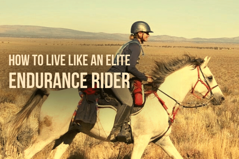 endurance horse rider