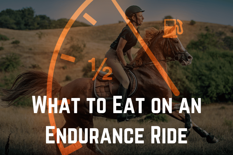 what to eat on an endurance horse ride