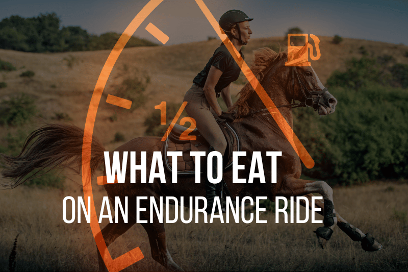 equestrian endurance rider and fuel gauge