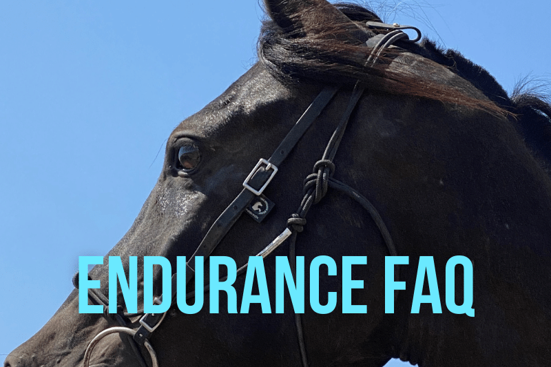 endurance riding FAQ