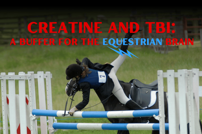 Head injury in horse riders mitigated by creatine