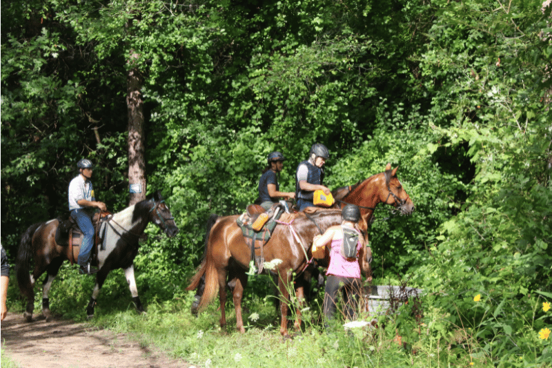 endurance horse riders on trail