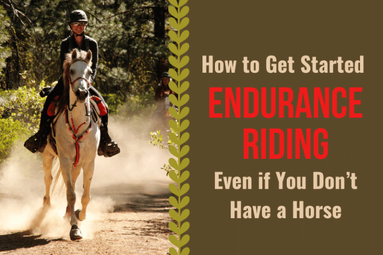 equestrian endurance rider