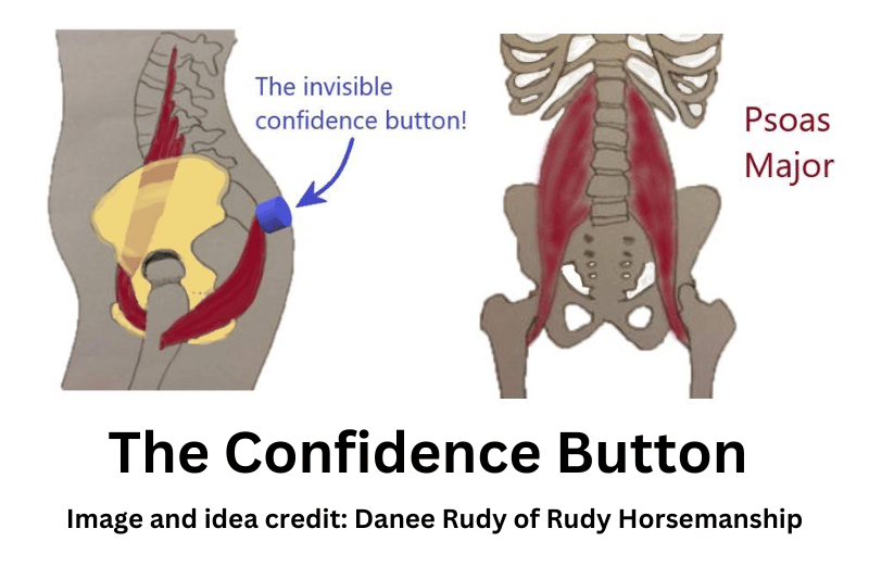 psoas and confidence button for horse riders