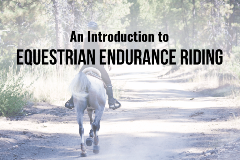 Intro to Endurance