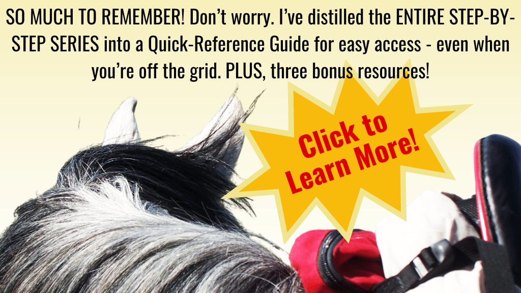 Endurance Riding Step-by-Step