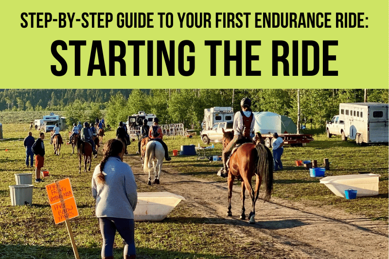 endurance horse ride start