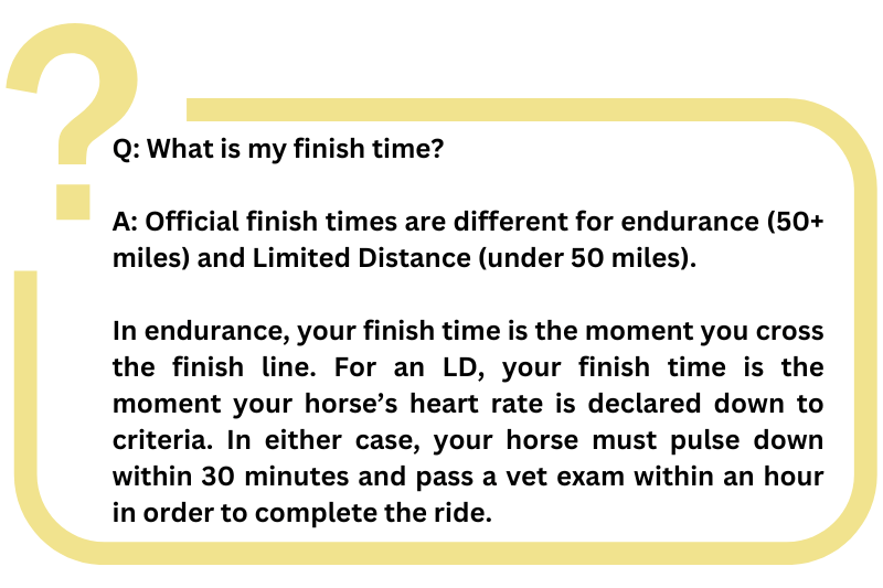 endurance horse riding FAQ