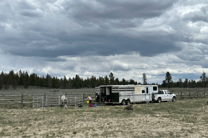 Mary and Anna Memorial Endurance Ride Camp