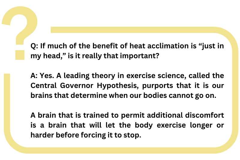 heat acclimation and the central governor hypothesis