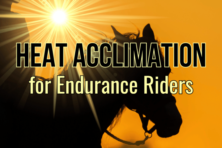 Heat acclimation for equestrian endurance riders