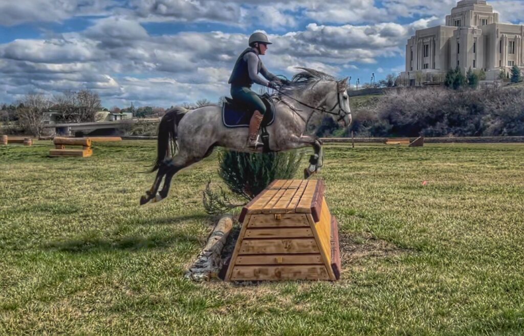 Endurance horse doing cross country