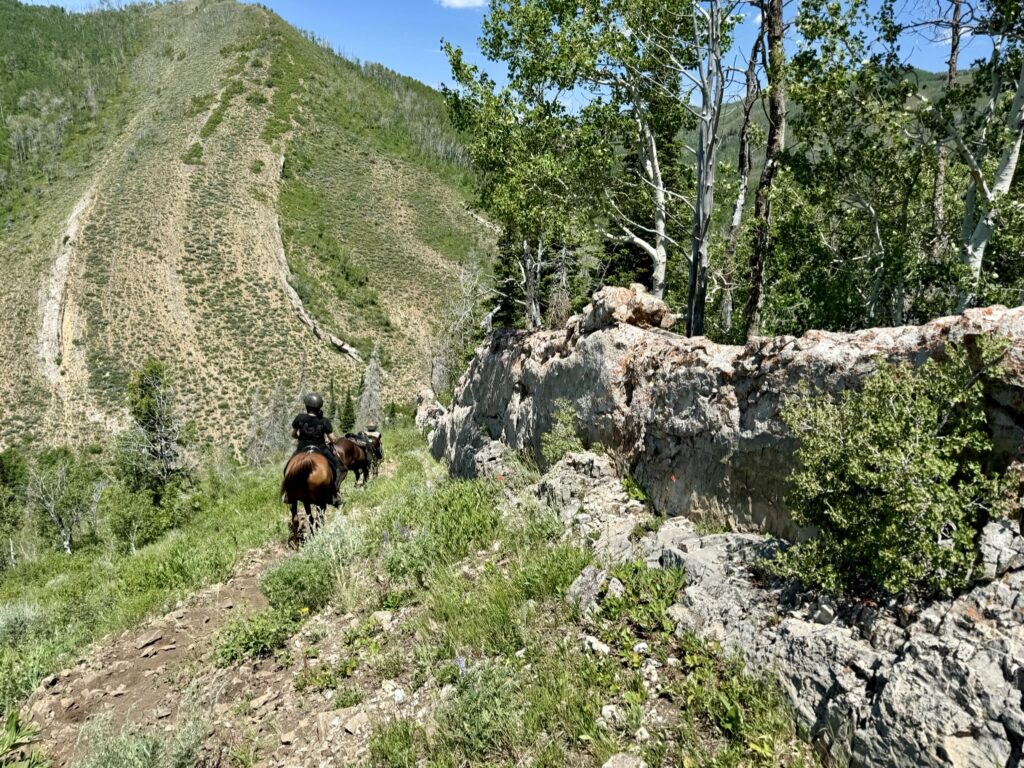 Great Wall at Strawberry Fields Forever Endurance Ride