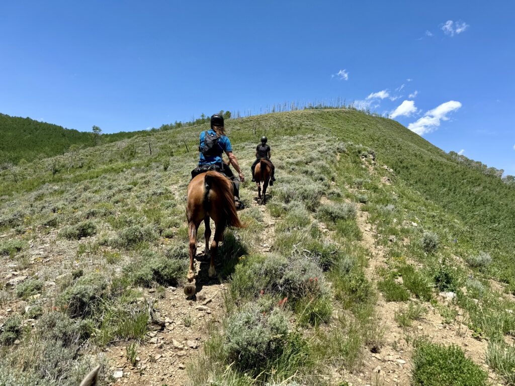 Strawberry Fields Forever endurance ride trail