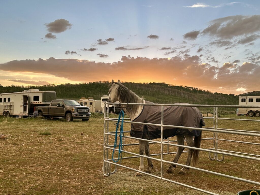 Strawberry Fields Endurance Ride sunset