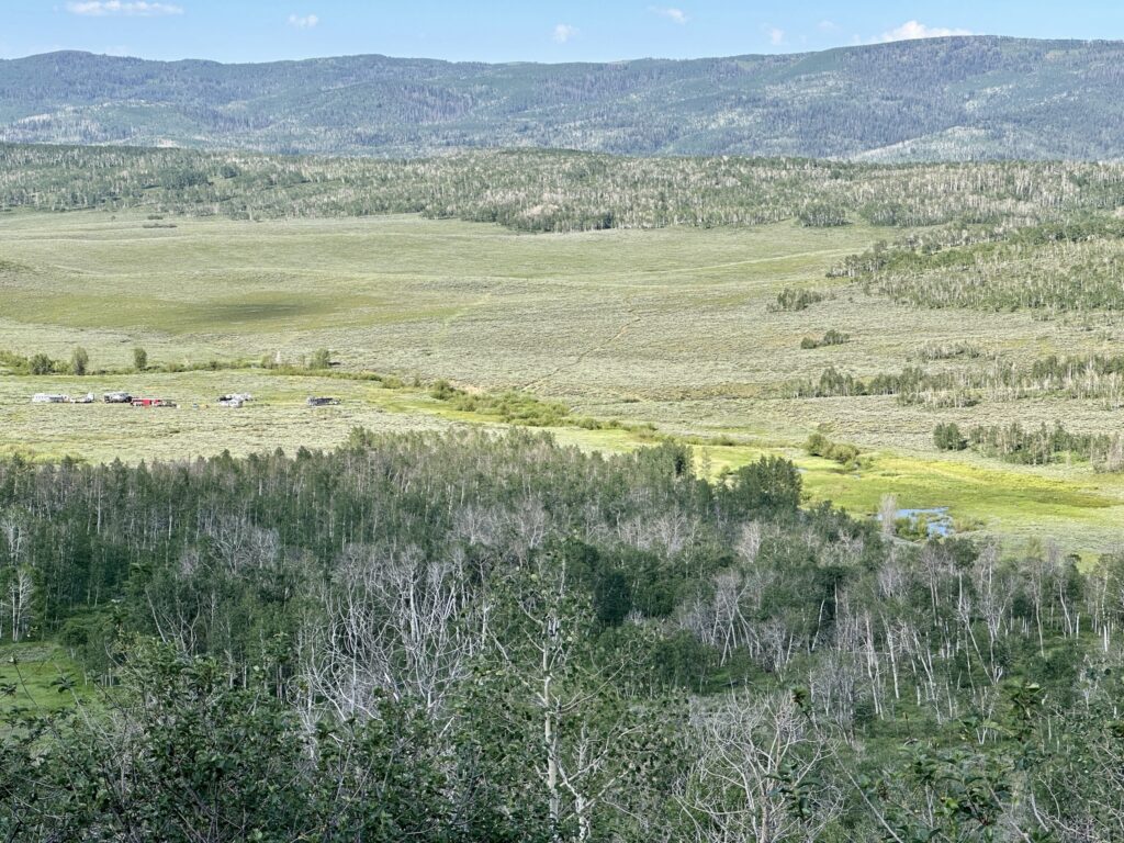 Strawberry Fields Forever endurance ride camp