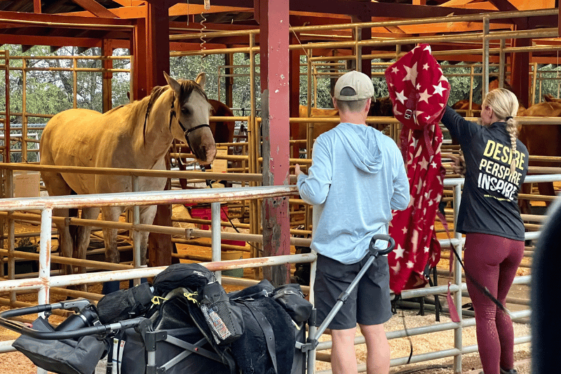 fairgrounds