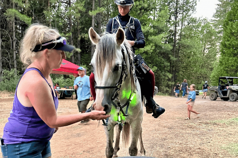 Foresthill Tevis Cup The Sweaty Equestrian