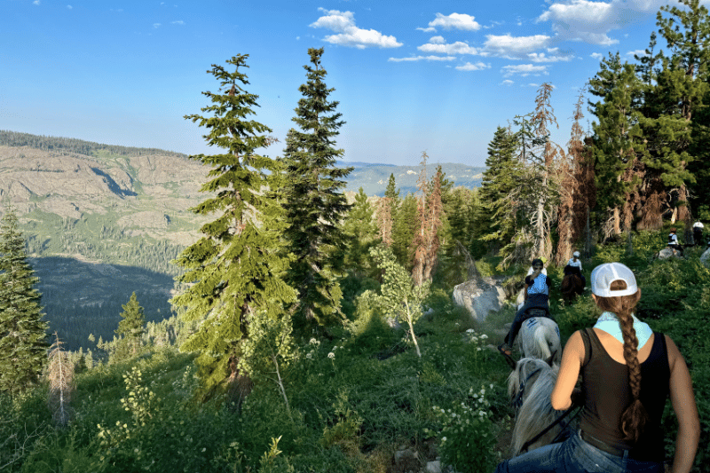 Granite Chief Wilderness Tevis Trail