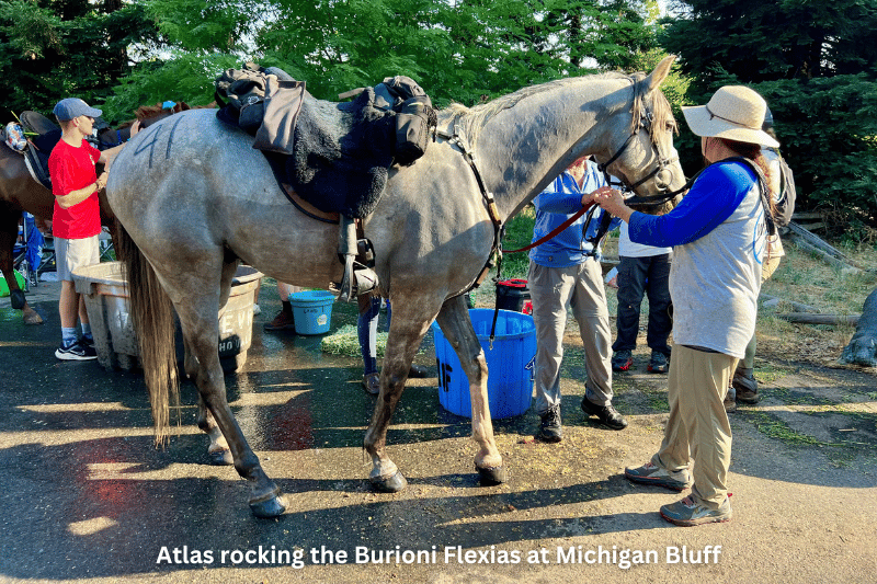 Burioni Flexia endurance stirrups at Tevis