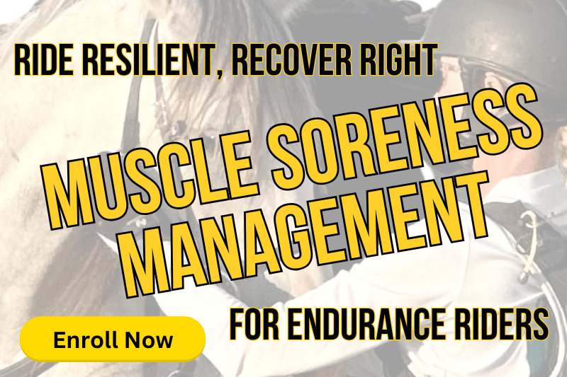 Muscle soreness in equestrian endurance horse riders