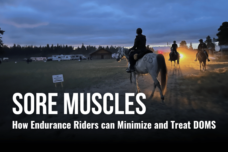 Sore muscles in equestrian endurance horse riders