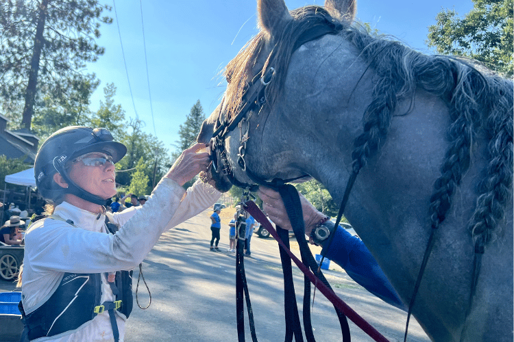 Endurance horse riding