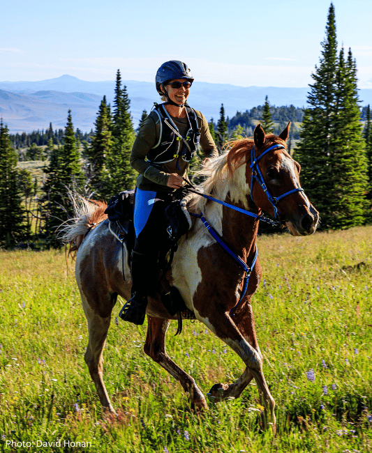 endurance horse rider