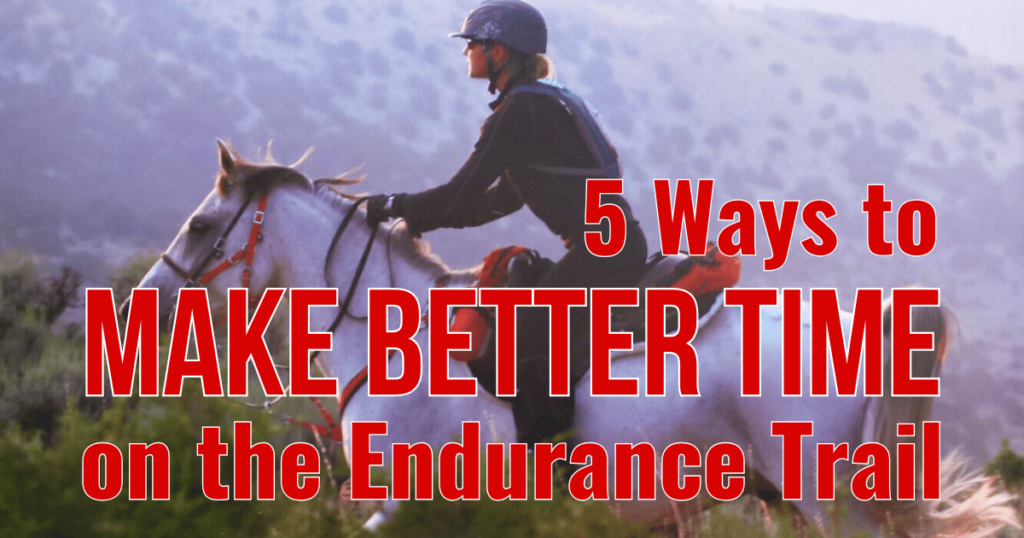 endurance horse riding