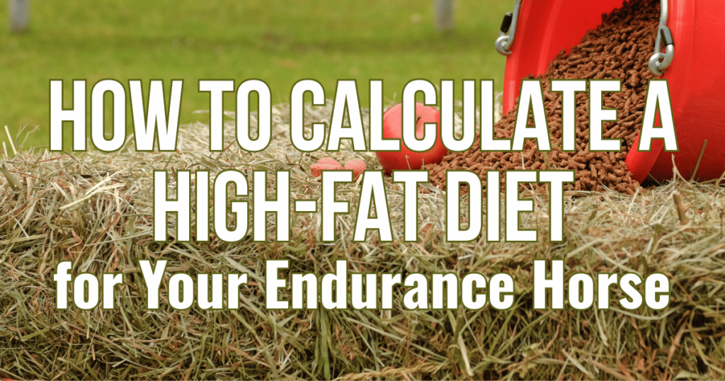 High fat diet for endurance horse