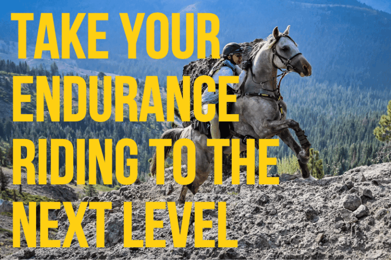 Advanced Endurance Horse Riding