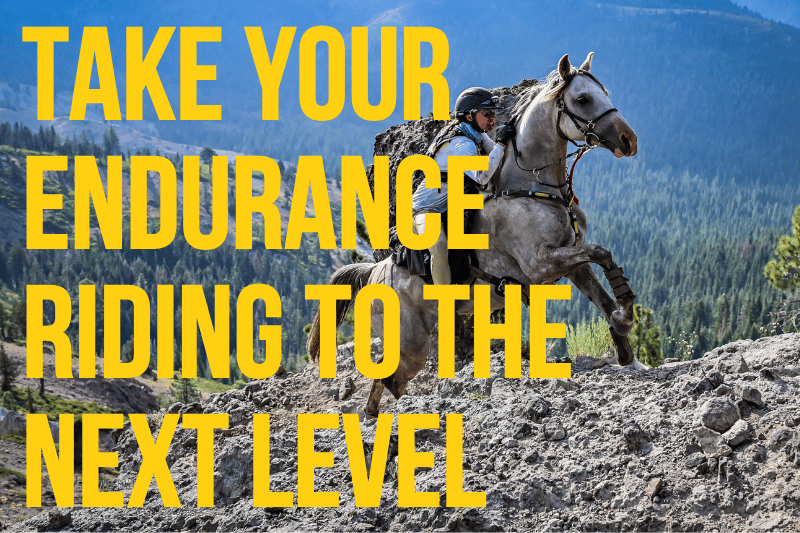 Advanced Endurance Horse Riding