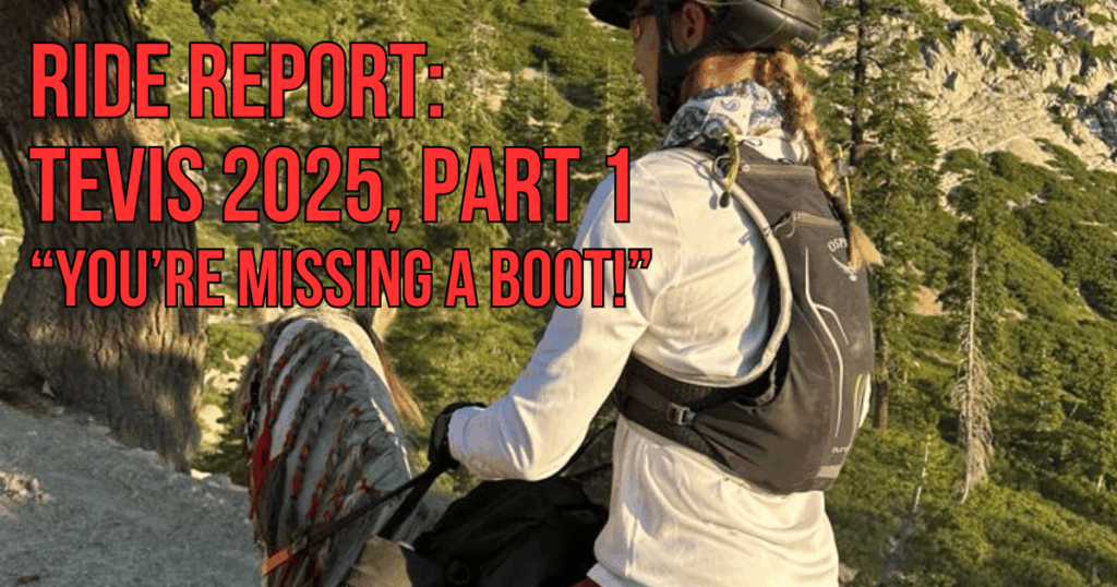 Tevis Cup endurance ride trail story