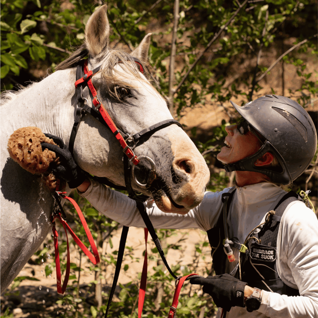 endurance horse rider swinging bridge tevis