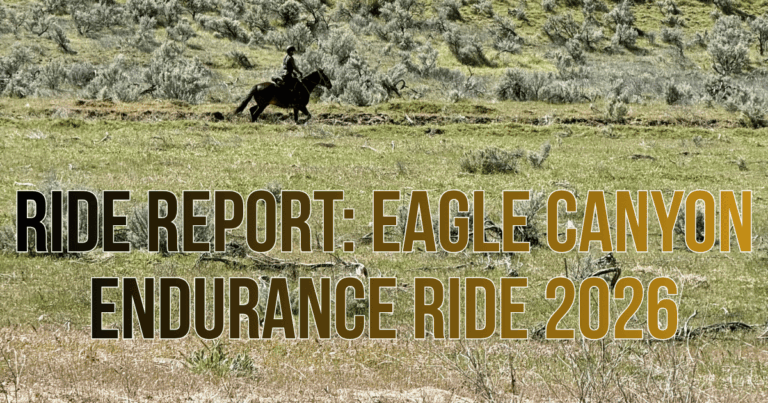 Ride Report Eagle Canyon