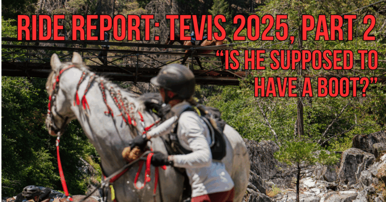 Tevis 2025 Ride Report The Sweaty Equestrian