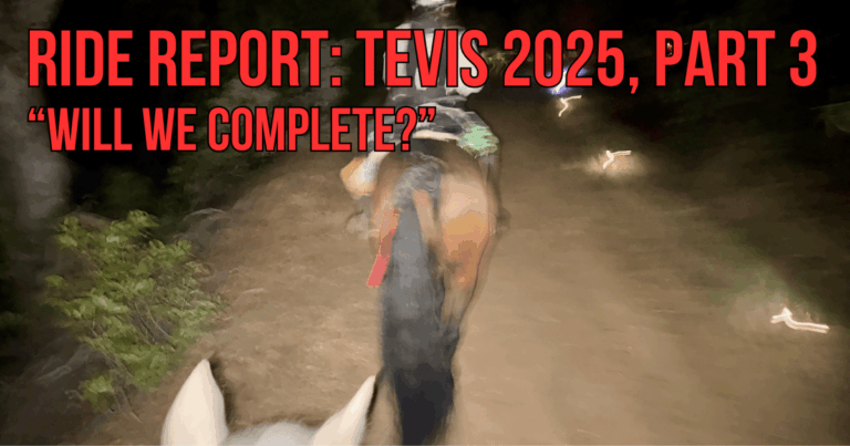 Tevis 2025 Part 3 (3)