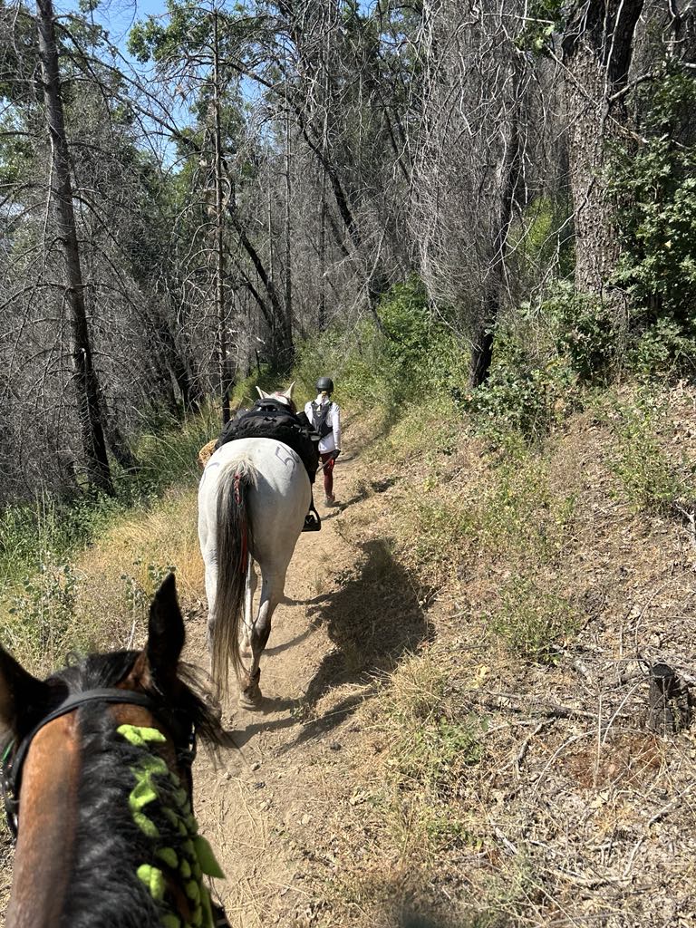 Tevis2025Canyons1