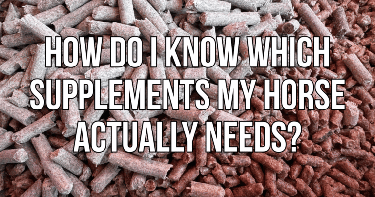 How do I know which supplements my horse needs